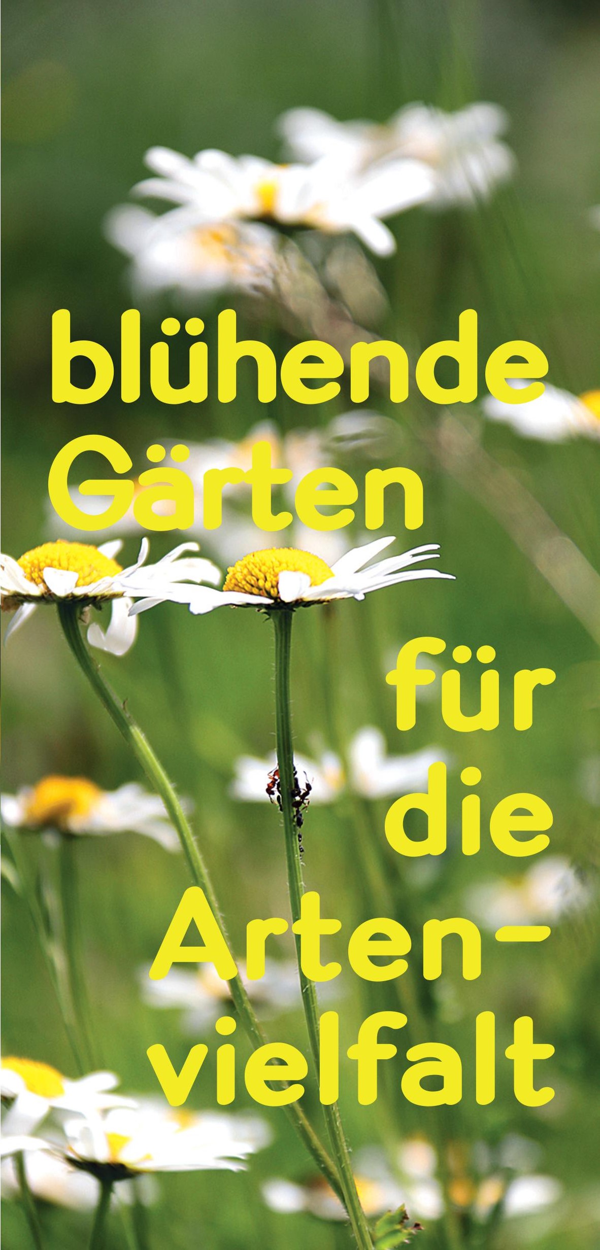 2021 Flyer Artenvielfalt Blühende Gärten - Kopie (2).jpg